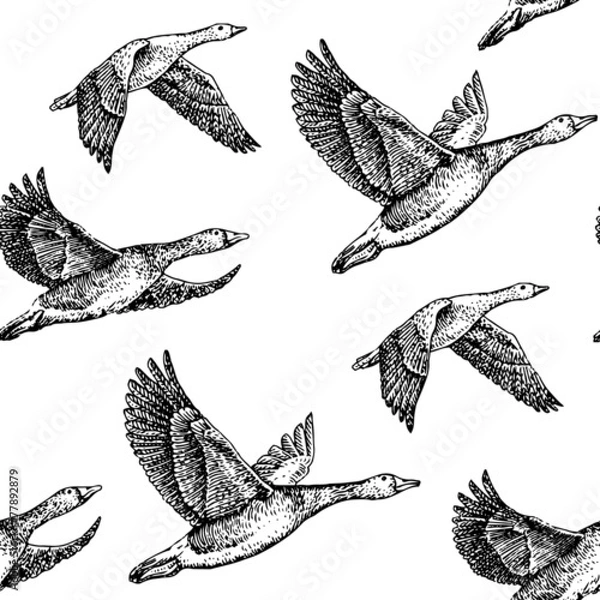 Obraz latające gęsi