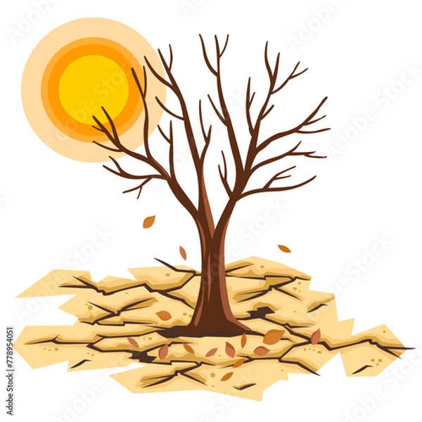 Fototapeta dead tree on dry earth with fallen leaves on a hot day