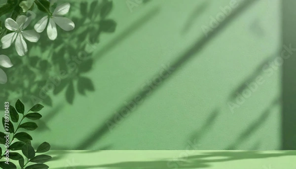 Fototapeta Geometric shadows shadows from plants from sunlight on the right on a green wall