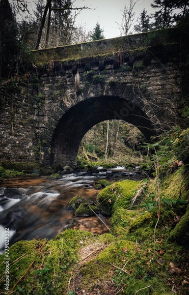 Obraz alte brücke im schwarzwald