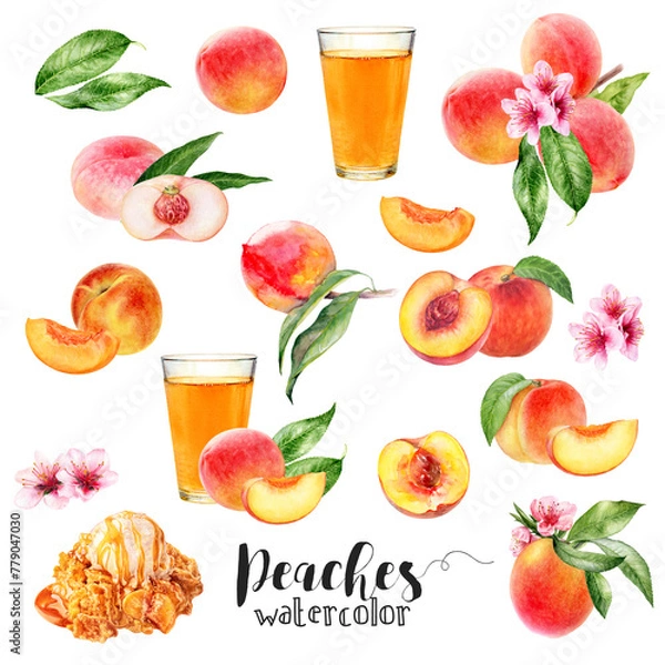 Fototapeta Watercolor illustration of peaches set close up. A large set with different peach varieties, on a branch with leaves, flowers, glass of juice and sliced peaches. 