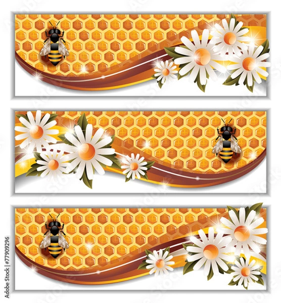 Obraz Honey Banners