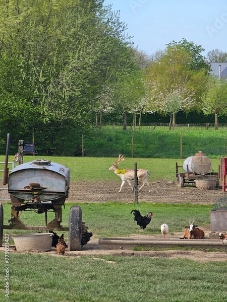 Obraz park in the city