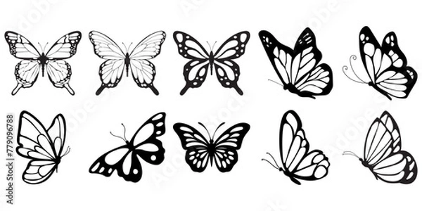 Obraz Butterfly Silhouette Aesthetic
