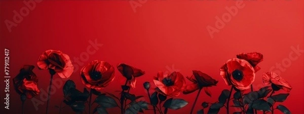 Fototapeta Red poppies, a still life arrangement.