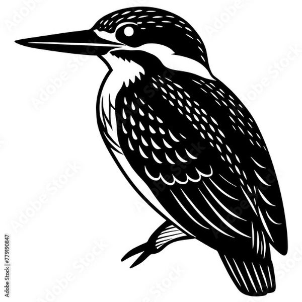 Obraz kingfisher silhouette vector illustration svg file
