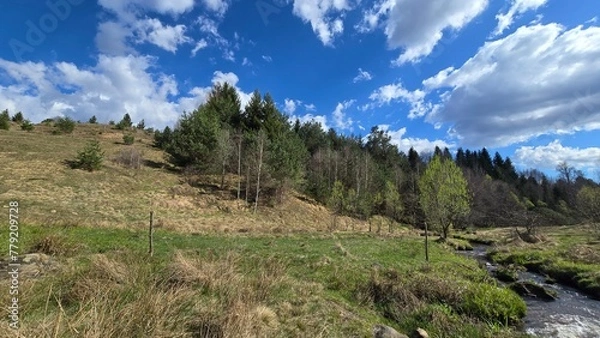 Obraz Beautiful summer day landscape