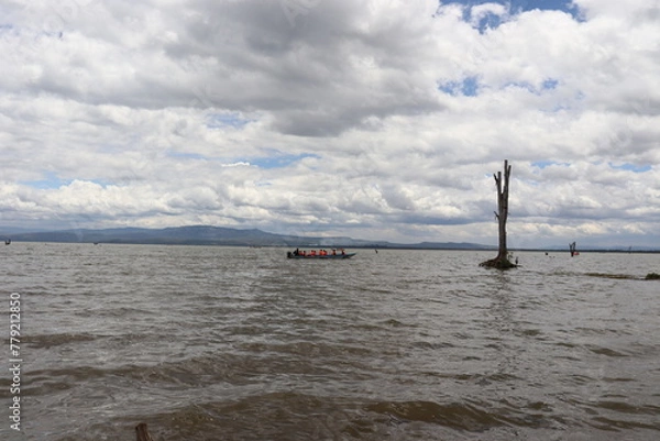 Obraz A lone acacia trunk stands majestically dead in the water of Lake Naivasha in the Great Rift Valley