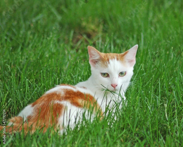 Obraz You're doing what?