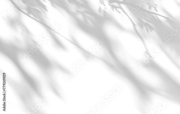 Fototapeta shadow overlay effect isolated on transparent. Transparent shadows and light from leaves and branches. Mockup of leaf shadow and lightning.	