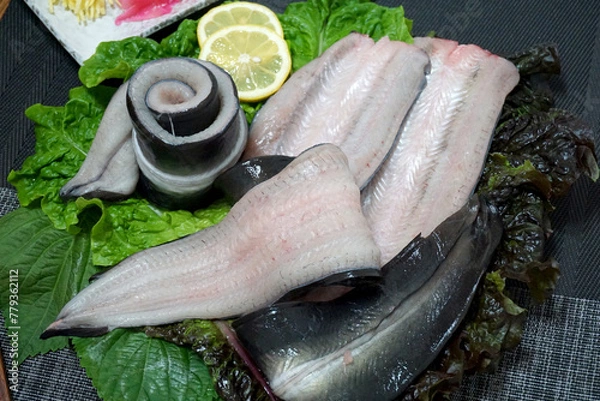 Obraz 자포니카 민물장어