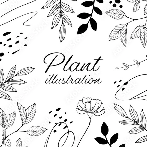 Fototapeta 植物のシンプルなイラスト_2