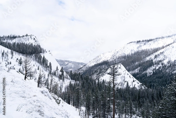 Obraz snow mountain valley with road and pine trees