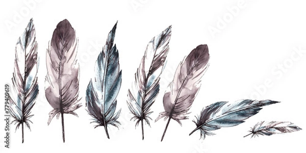 Fototapeta Watercolor painted monochrome feathers arrangement. Bird feathers with graphic line, natural ornaments. Real animal wings dynamic composition, illustration. Clipart for print Isolated white background