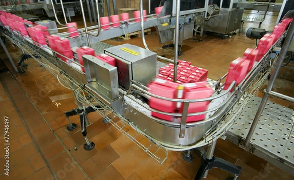 Obraz conveyor line