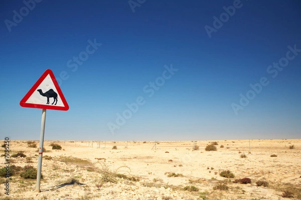 Fototapeta Camel warning sign