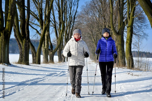 Obraz Nordic walking