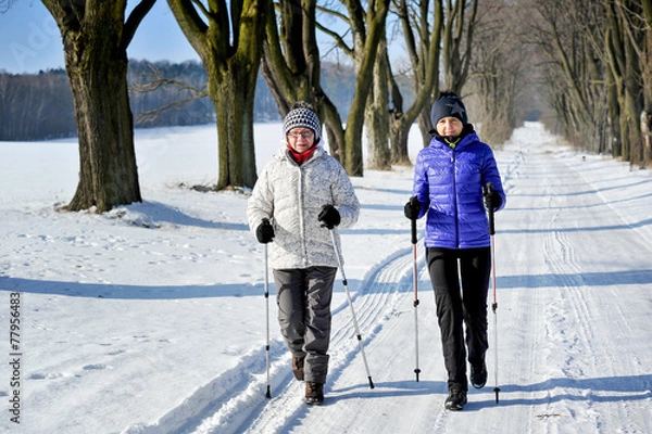 Obraz Nordic walking
