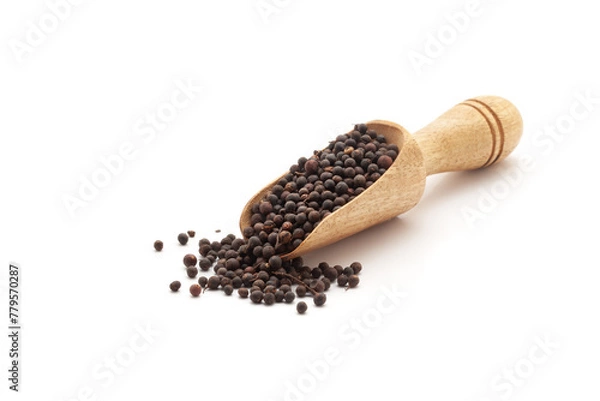 Obraz Front view of a wooden scoop filled with Organic False Black Pepper (Embelia ribes) or Baibadang. Isolated on a white background.