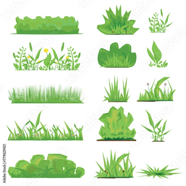 Obraz Set of Grass vector elements on a white background