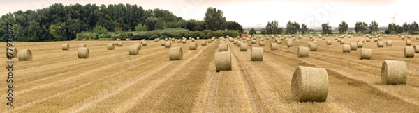 Obraz Strohballen auf gemähtem Acker 00247