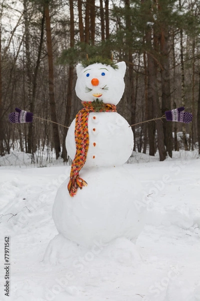 Obraz snowman in winter