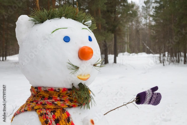 Fototapeta snowman handmade