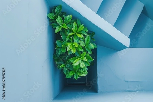 Fototapeta A staircase with a plant in the middle of it
