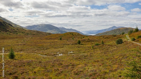 Obraz Loch Linnhe from Cow Hill Path