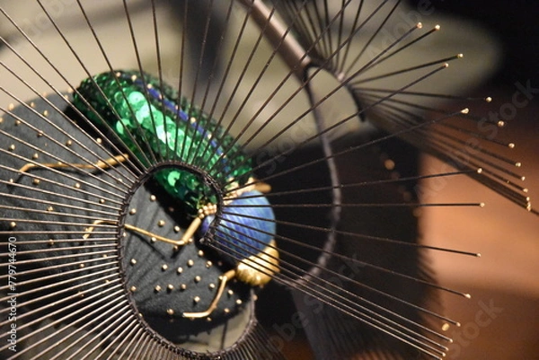 Obraz détail sur un chapeau