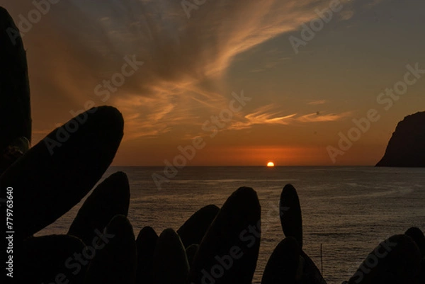 Obraz Abenddämmerung an der Küste mit leuchtendem Himmel und Kakteen im Vordergrund