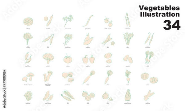 Fototapeta 野菜のイラスト、グラフィック素材、ベクター