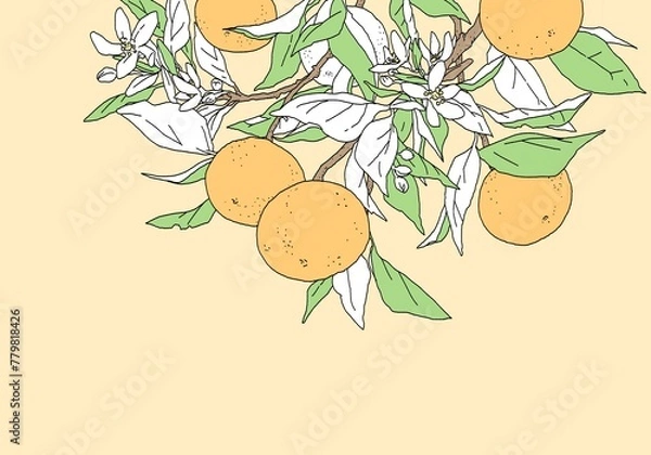 Obraz 枝付きオレンジのシンプルなカラーのデザイン