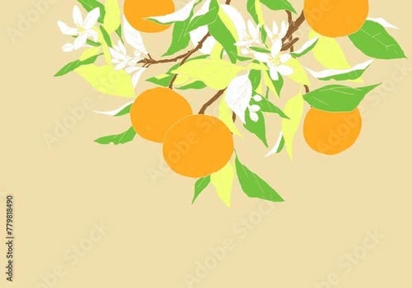 Obraz 枝付きオレンジのシンプルなカラーのデザイン