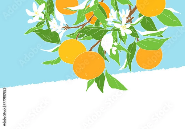 Obraz 枝付きオレンジのシンプルなカラーのデザイン