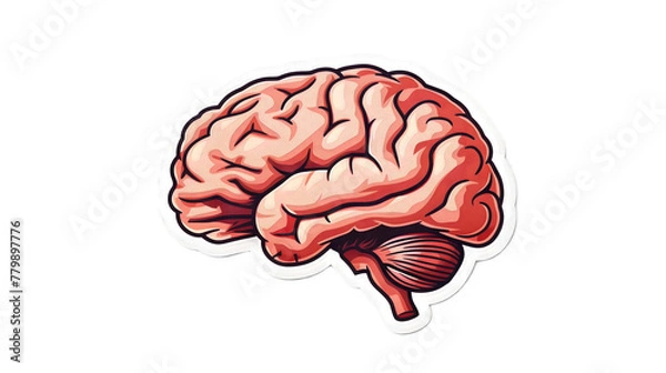 Obraz a cartoon image of a human brain, isolated, transparent background, formed as a sticker, art, science, natural, mind