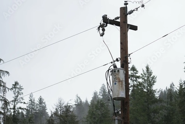 Obraz Telephone pole located in the pacific northwest surrounded by the woods.