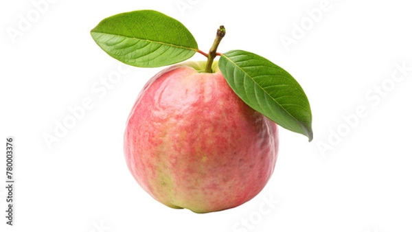 Fototapeta Red guava fruit with green leaves isolated on transparent background.