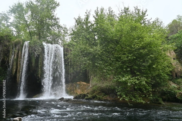 Fototapeta waterfall in the forest