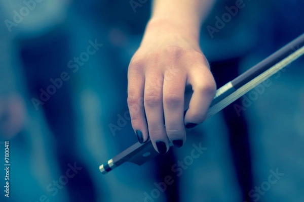 Fototapeta Hand with fiddlestick