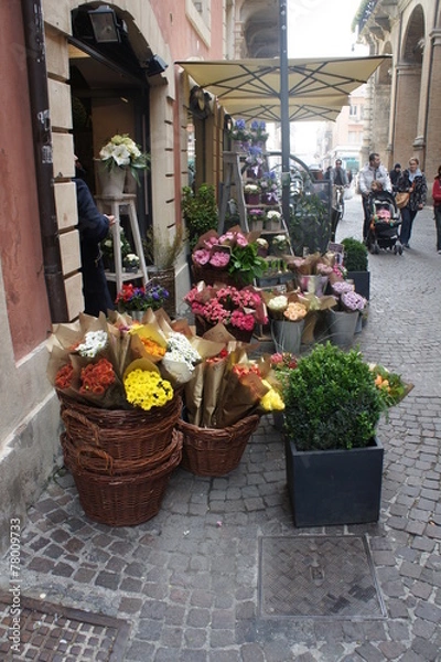 Fototapeta Цветы