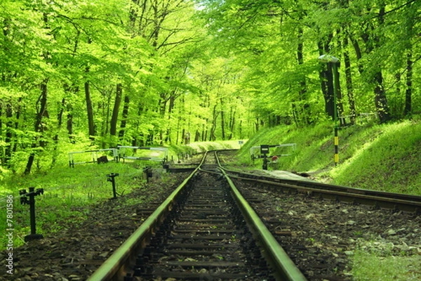 Obraz railway