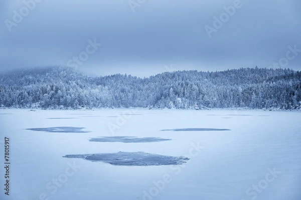 Fototapeta Forest and lake Eibsee with snow Bavaria
