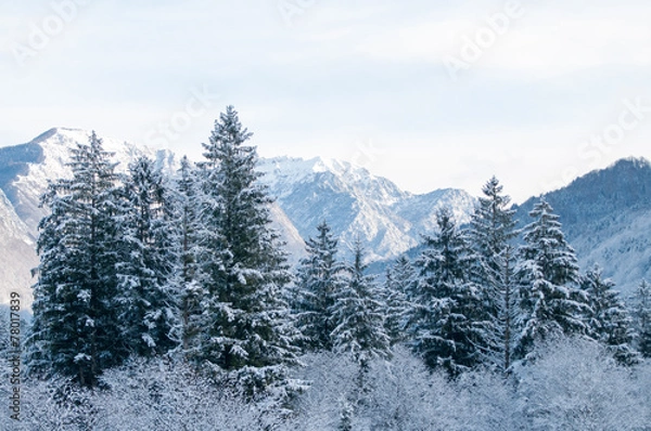 Fototapeta Val Cellina