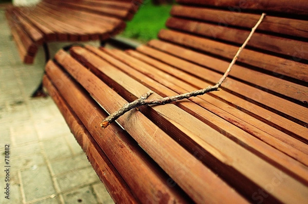 Obraz twig on a bench