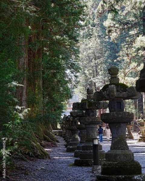 Fototapeta 日本のお寺参道