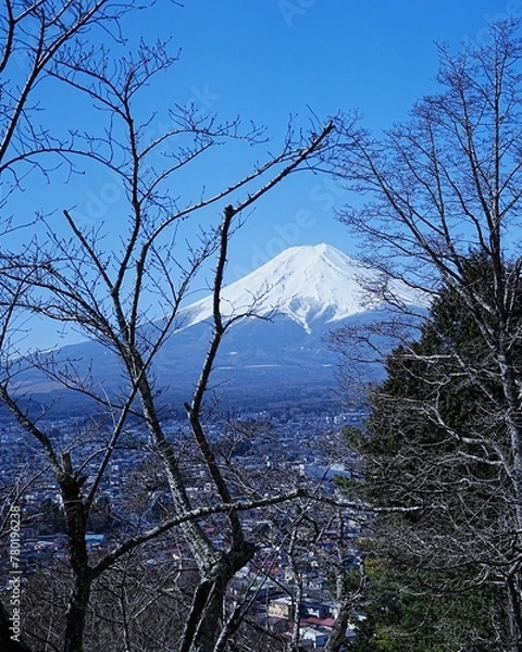 Fototapeta 美しい白い雪化粧の世界遺産富士山
