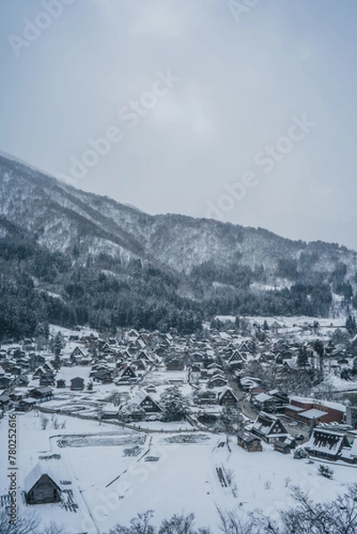 Fototapeta 白川郷の冬