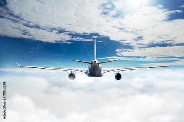 Obraz Airplane over the clouds