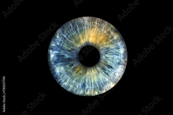 Obraz tęczówka oka na czarnym tle